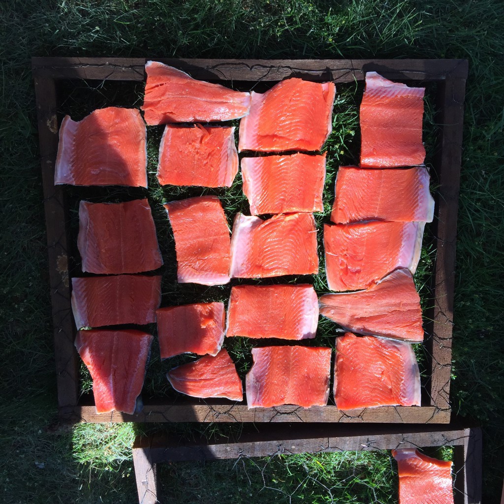 Research continues on our smoked salmon practice, recipes, timing, and different types of salmon. Available by contacting us.